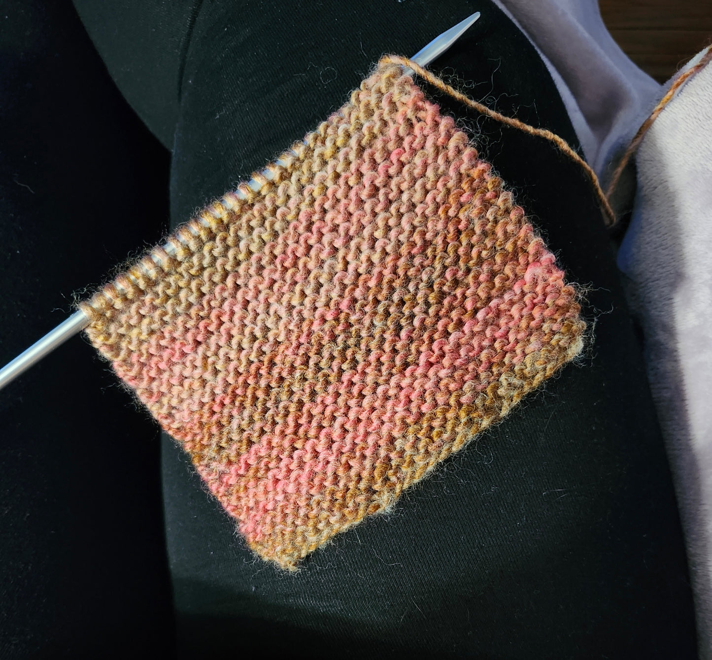 Scarf (Fleeting)