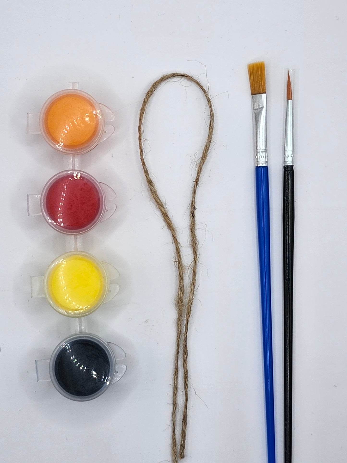 Butterfly DIY Kit