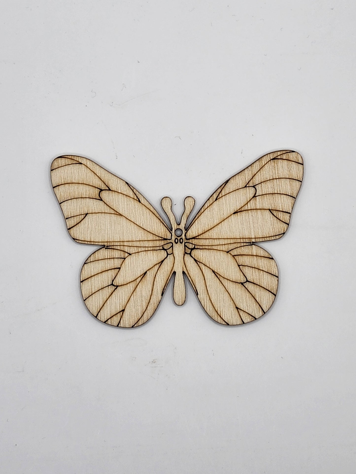 Butterfly DIY Kit