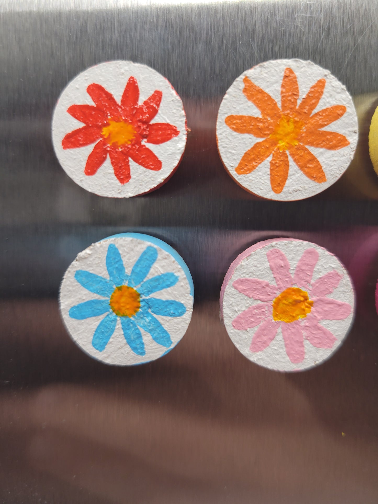 Rainbow Daisy Magnets