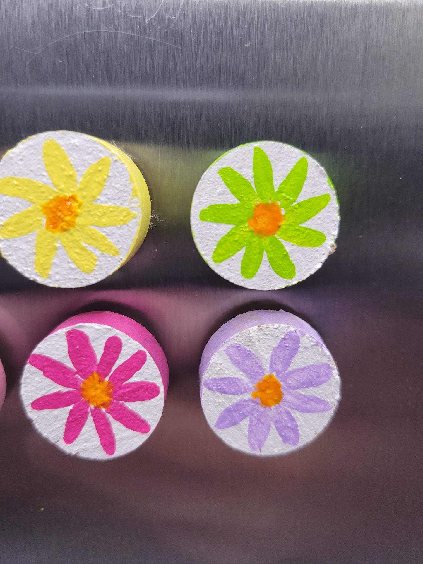 Rainbow Daisy Magnets