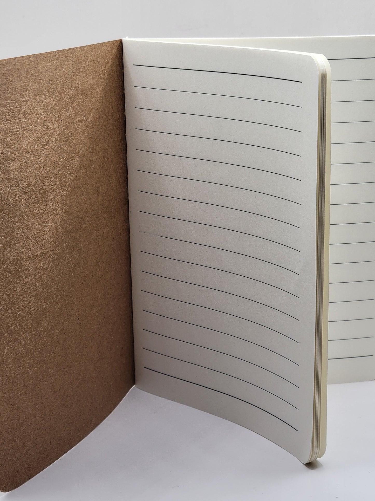 Seneca Lake Notebook