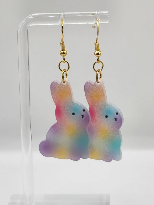 Rainbow Ombre Earrings