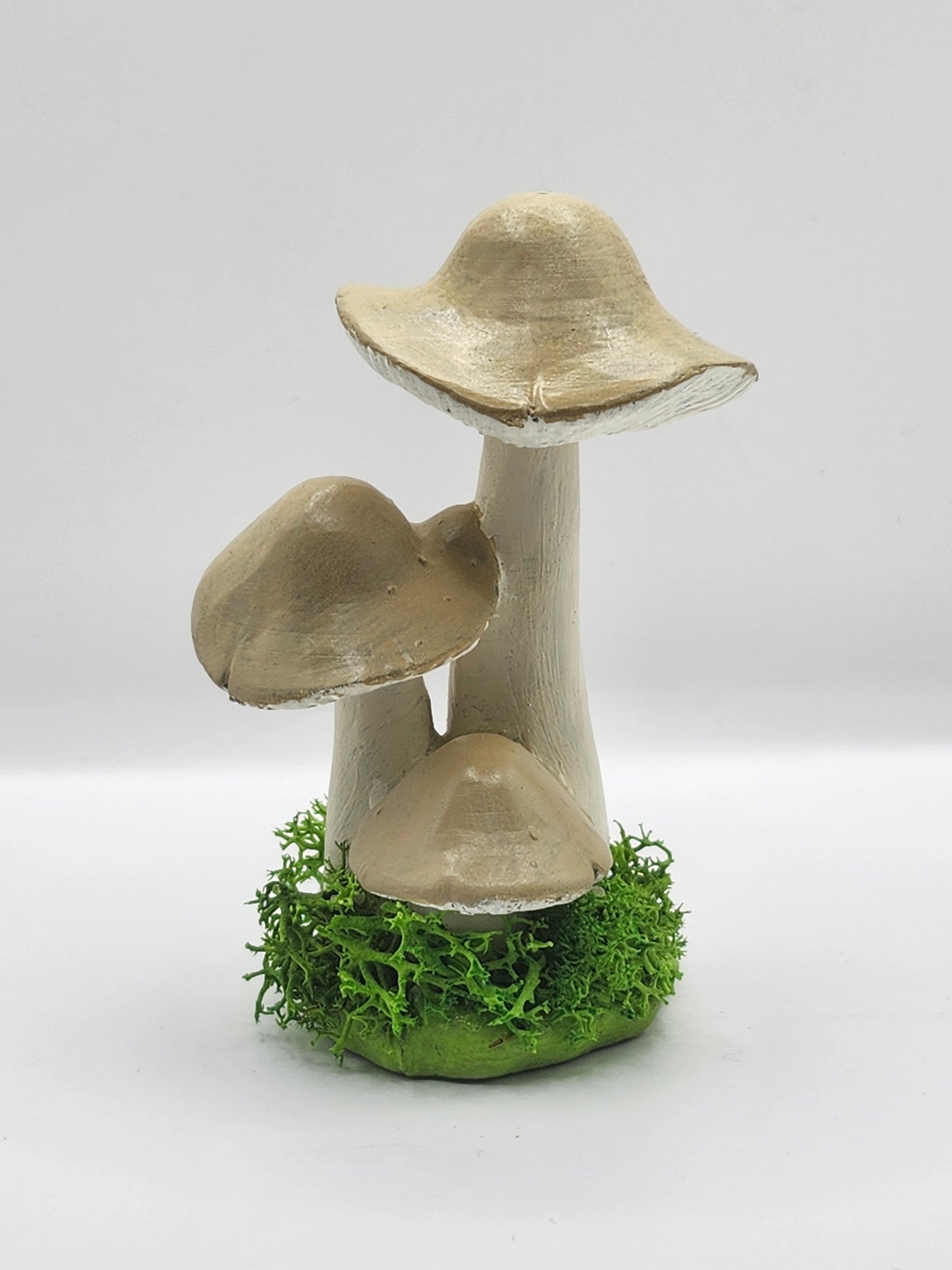 3D Mushroom Print