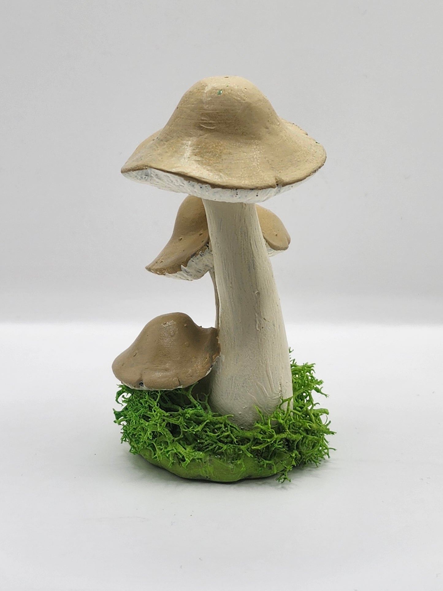 3D Mushroom Print