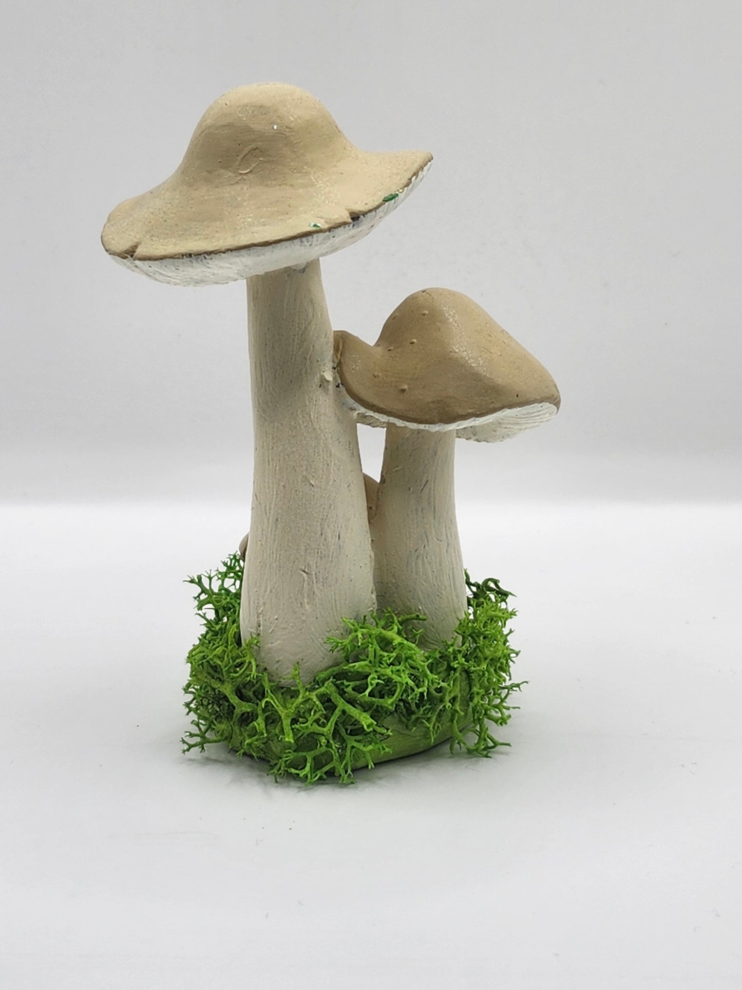 3D Mushroom Print