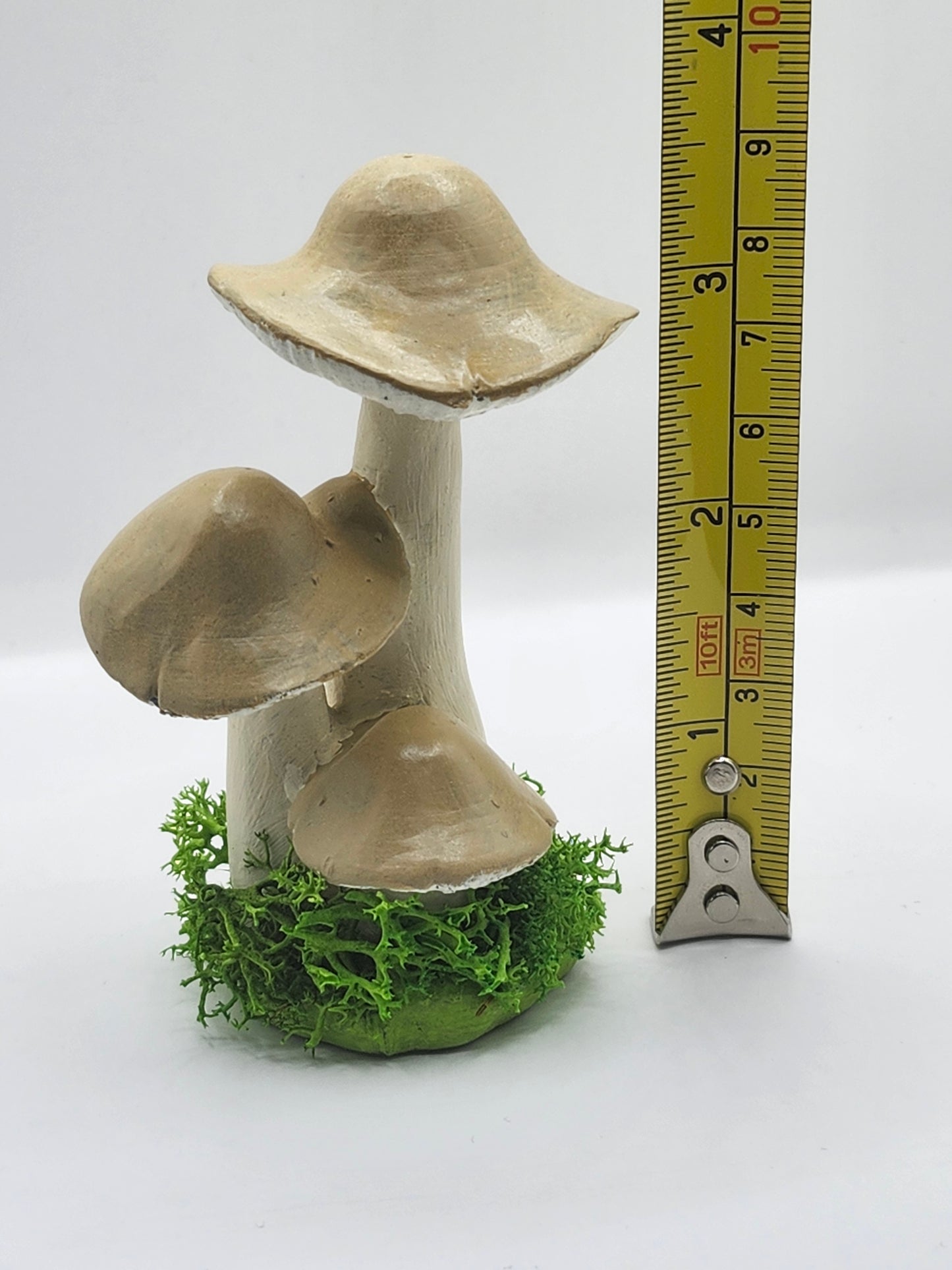 3D Mushroom Print