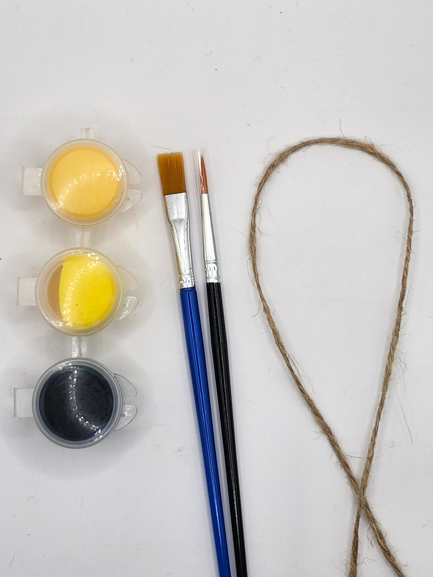 Sunflower DIY Kit