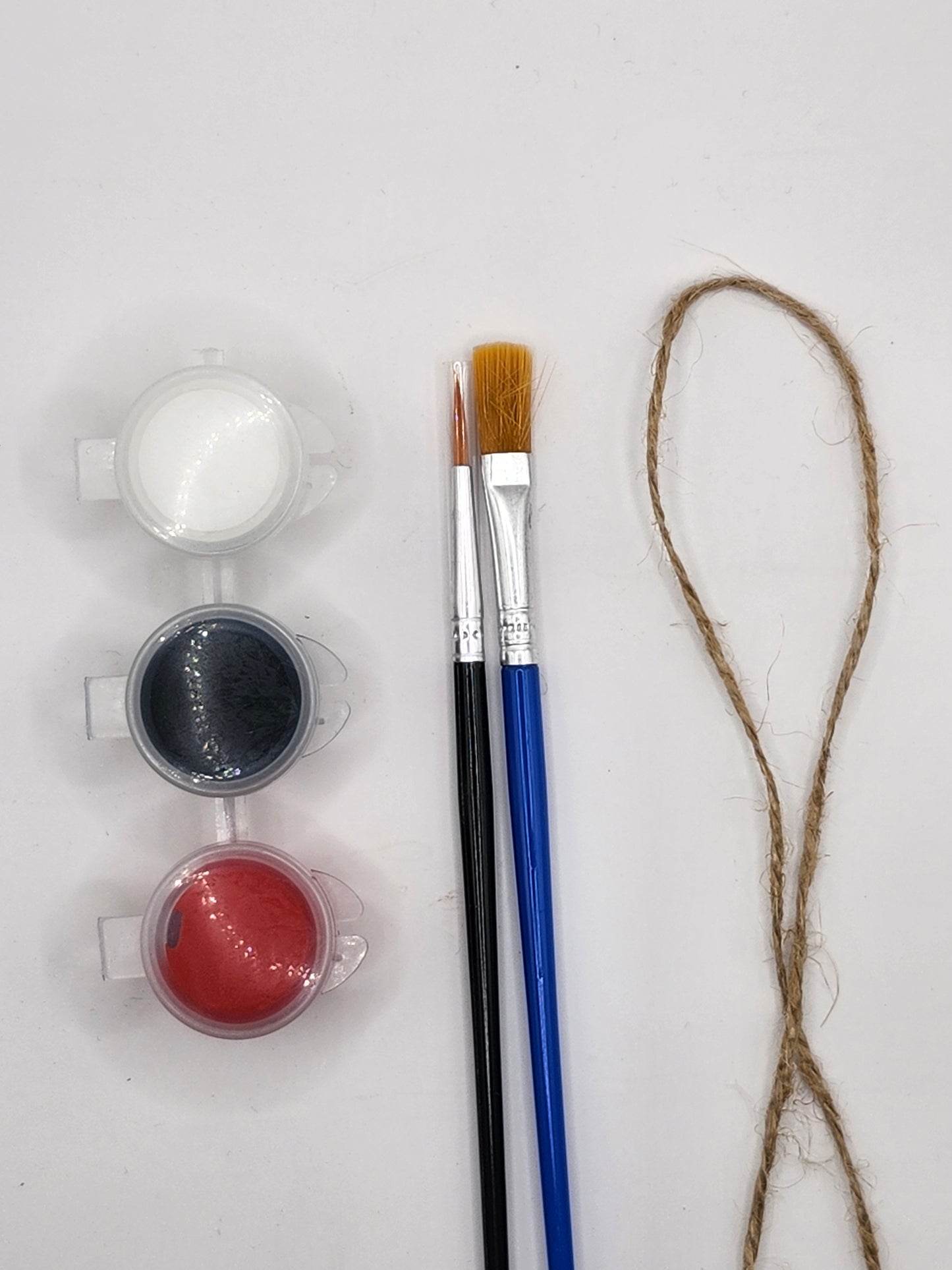 Ladybug DIY Kit