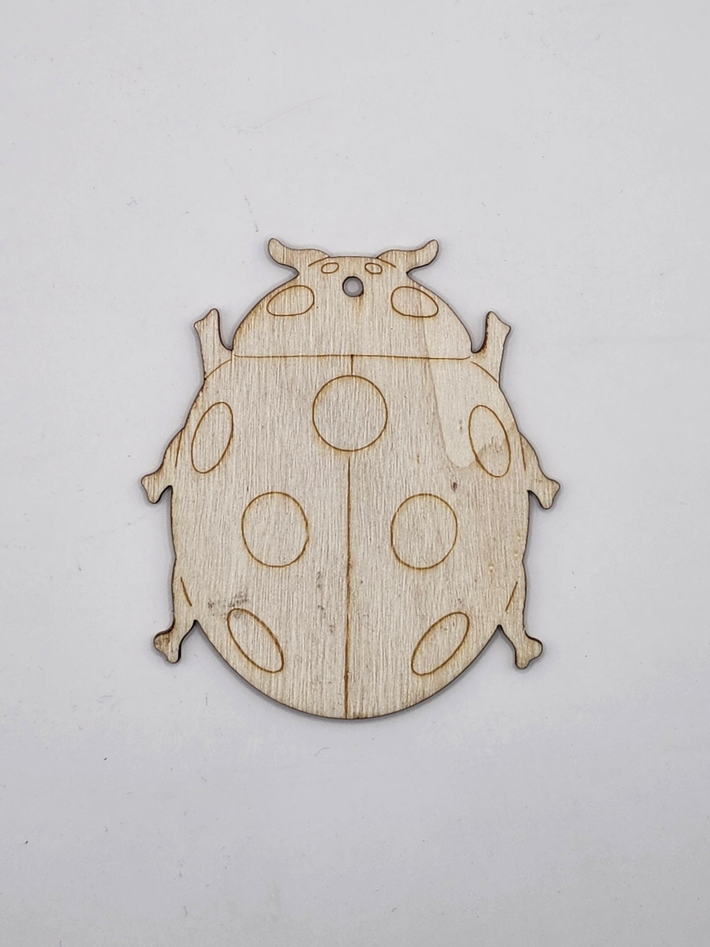 Ladybug DIY Kit