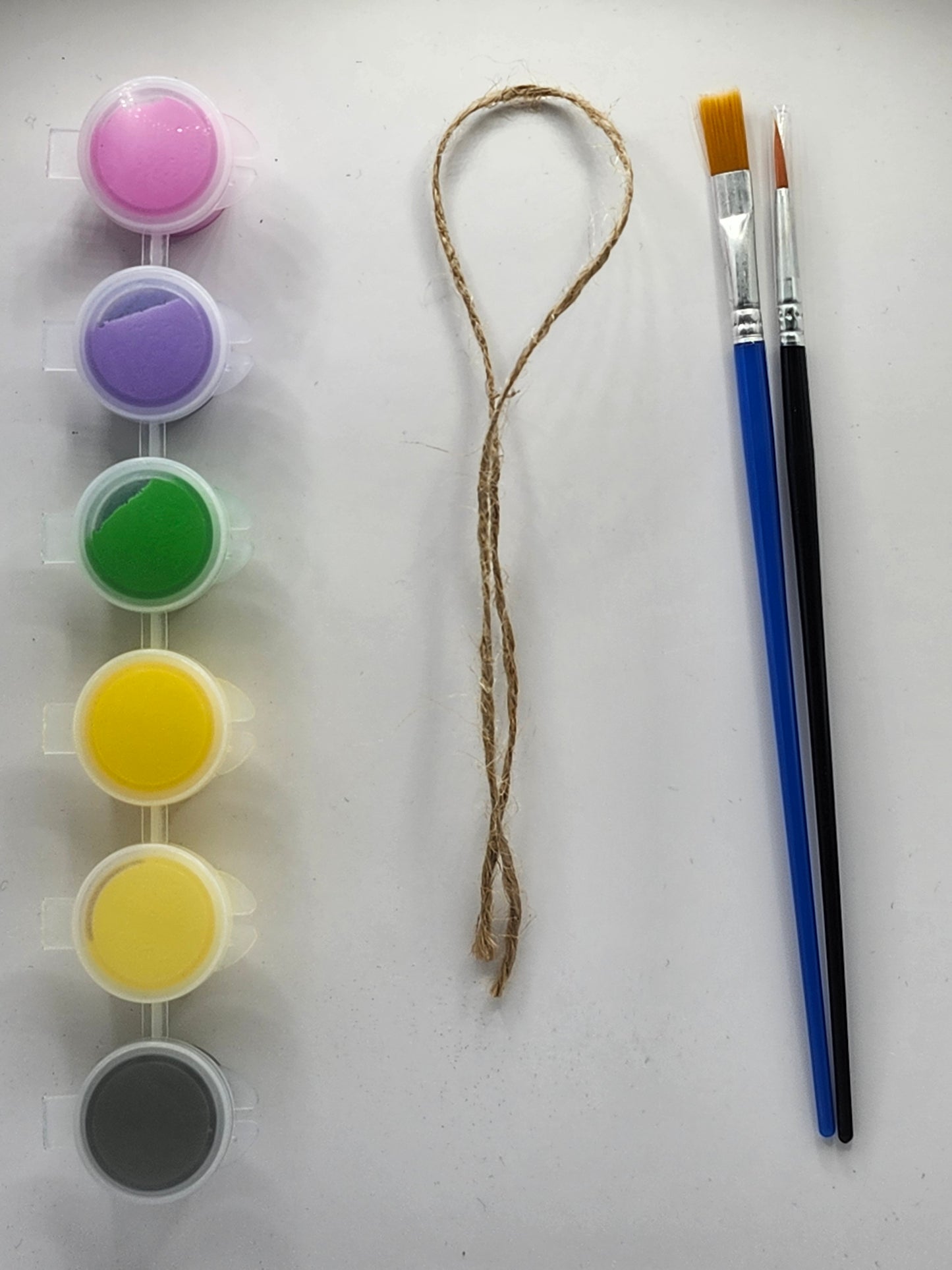 Two Flower Pot DIY Kit
