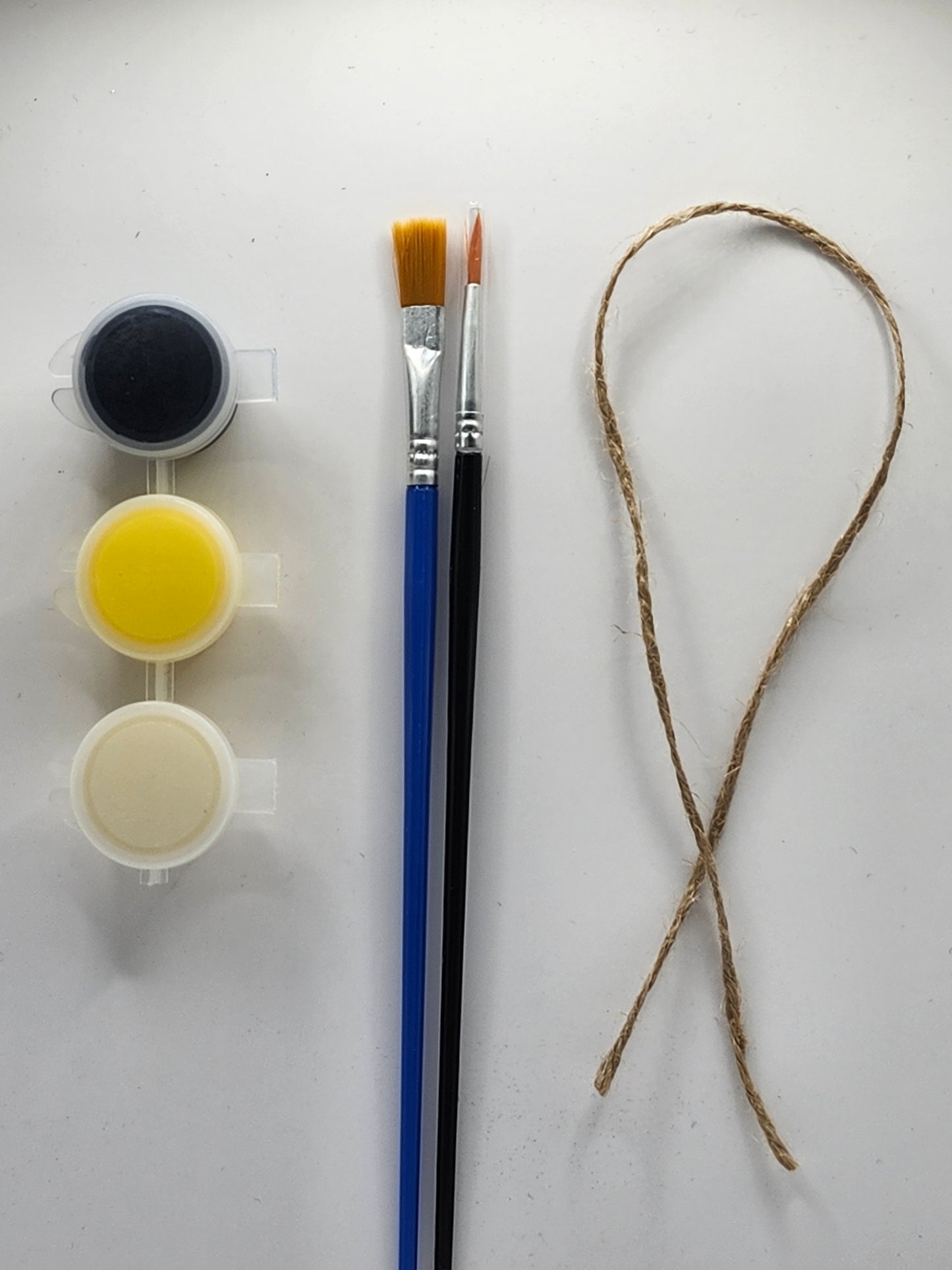 Bee DIY Kit