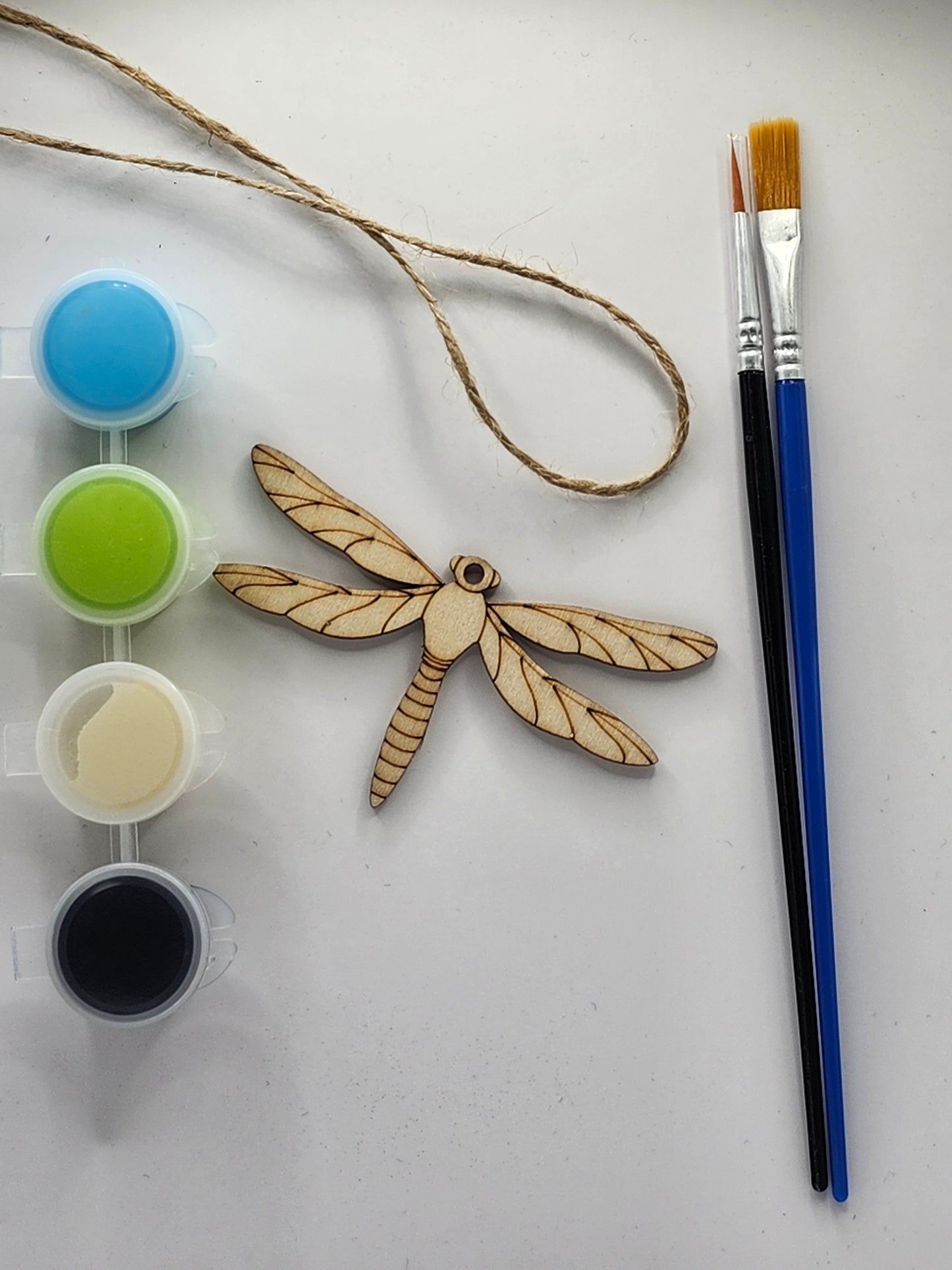 Dragonfly DIY Kit