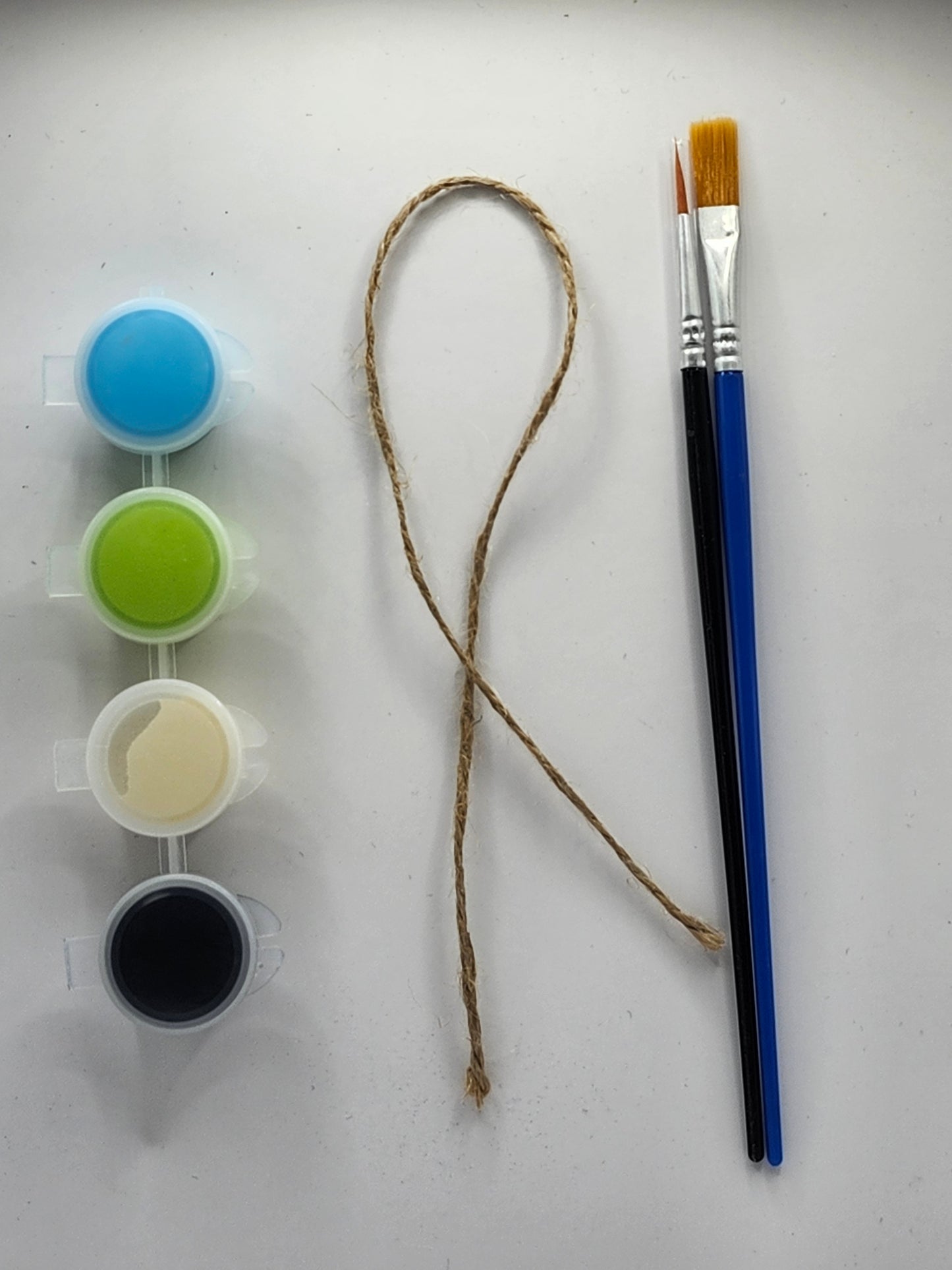 Dragonfly DIY Kit