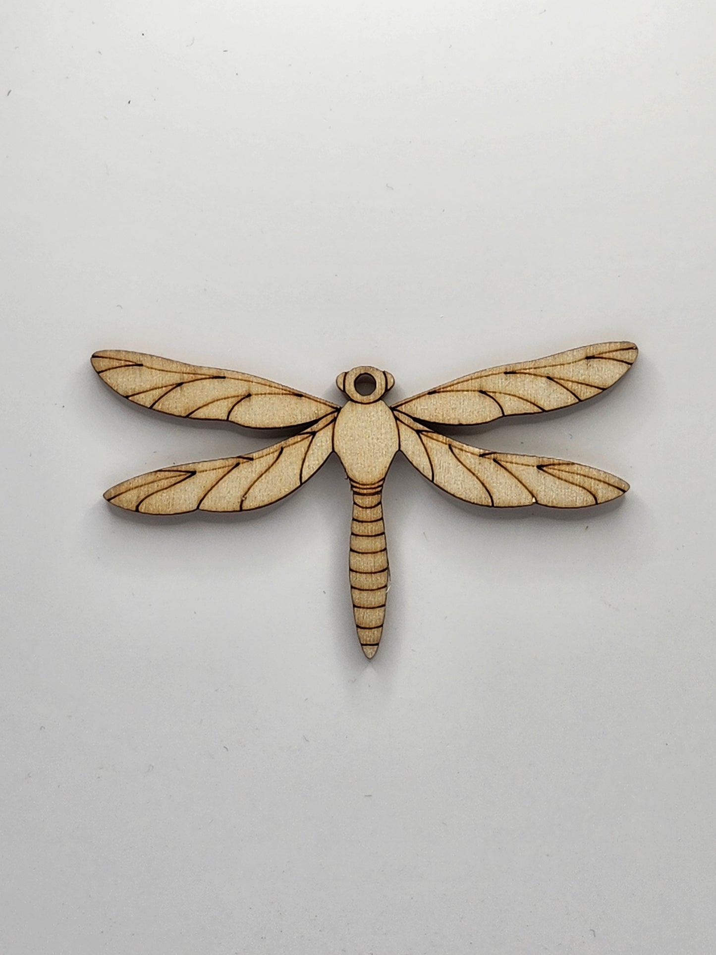 Dragonfly DIY Kit