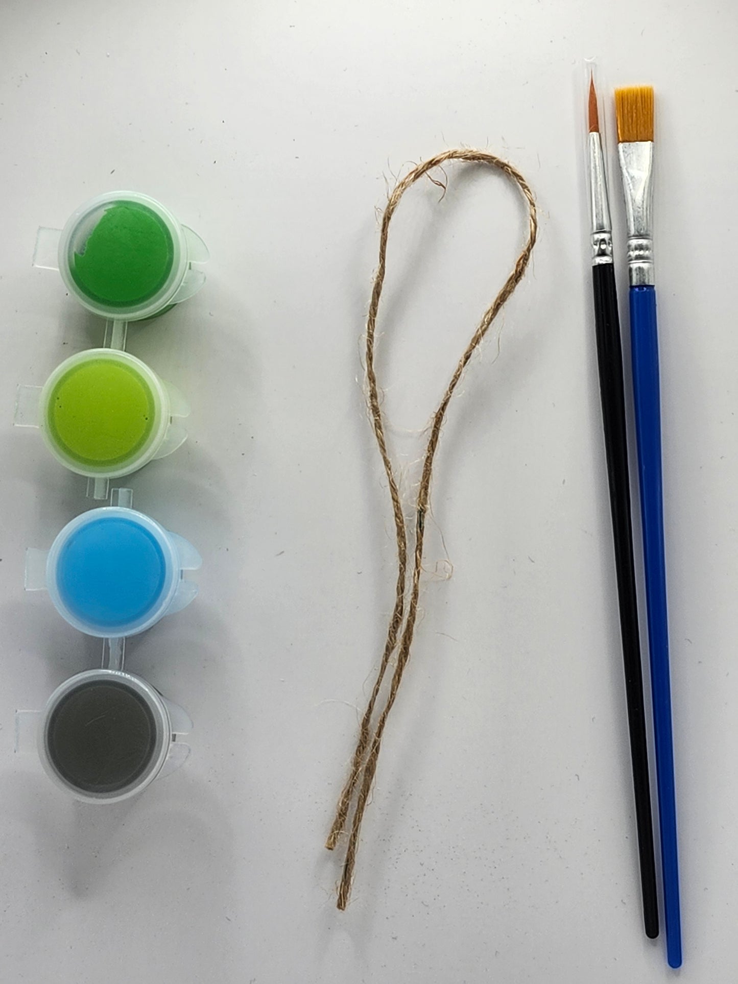 Snail DIY Kit