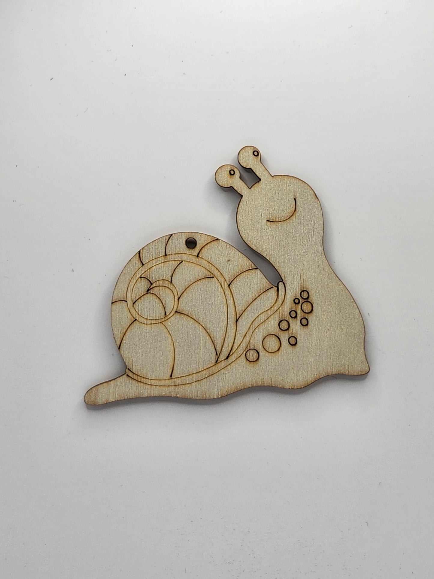 Snail DIY Kit