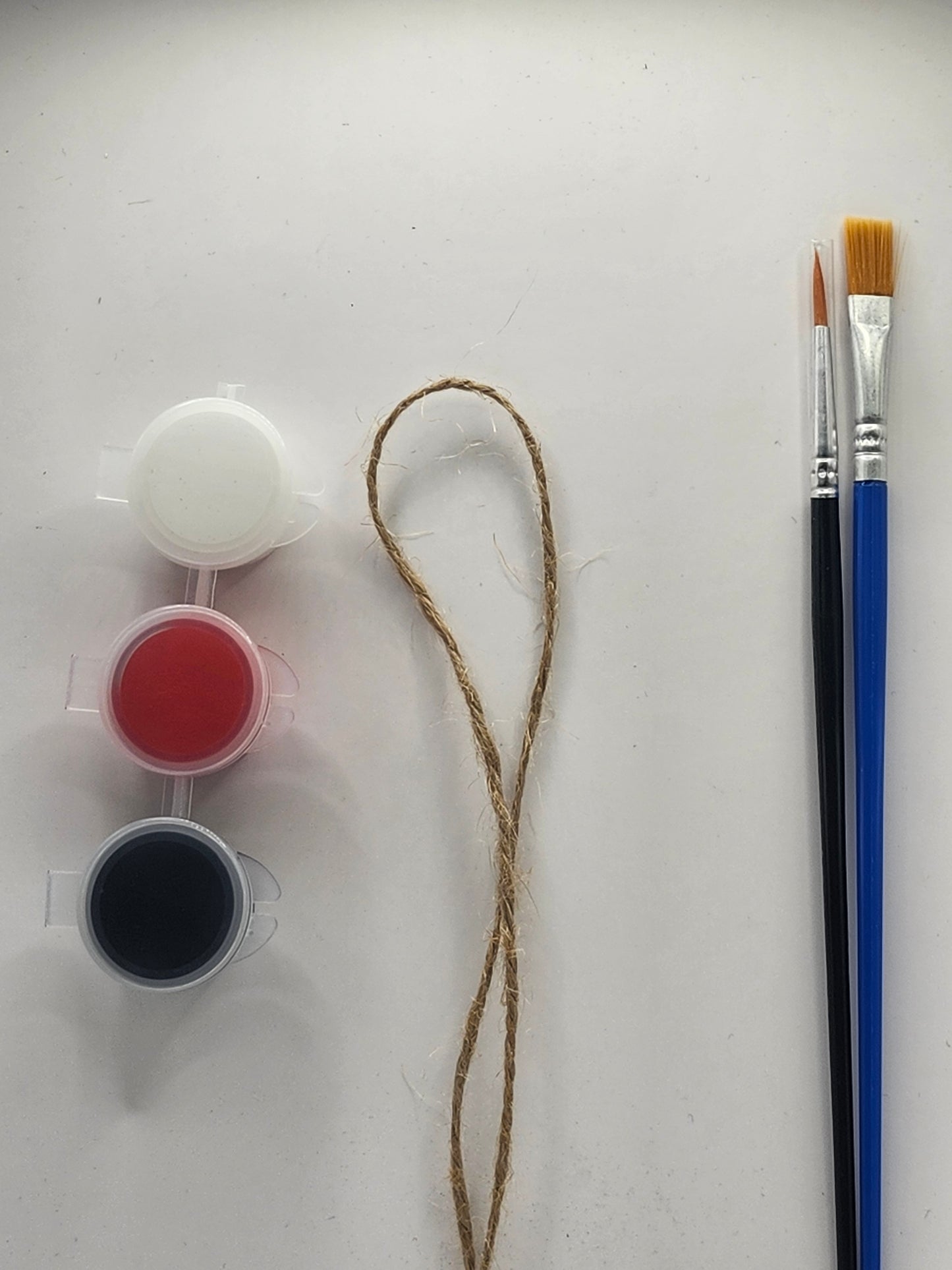 Ladybug 2 With Wings DIY Kit