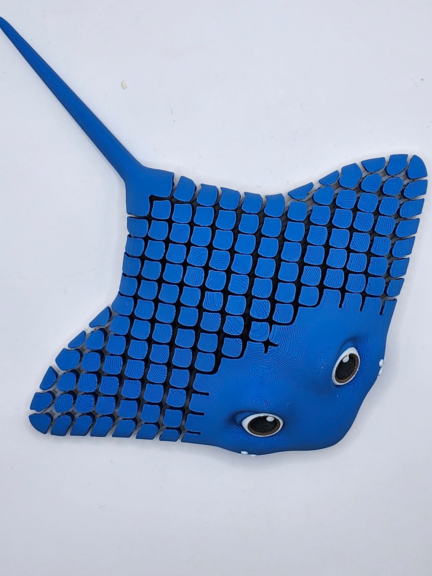 Manta Rays