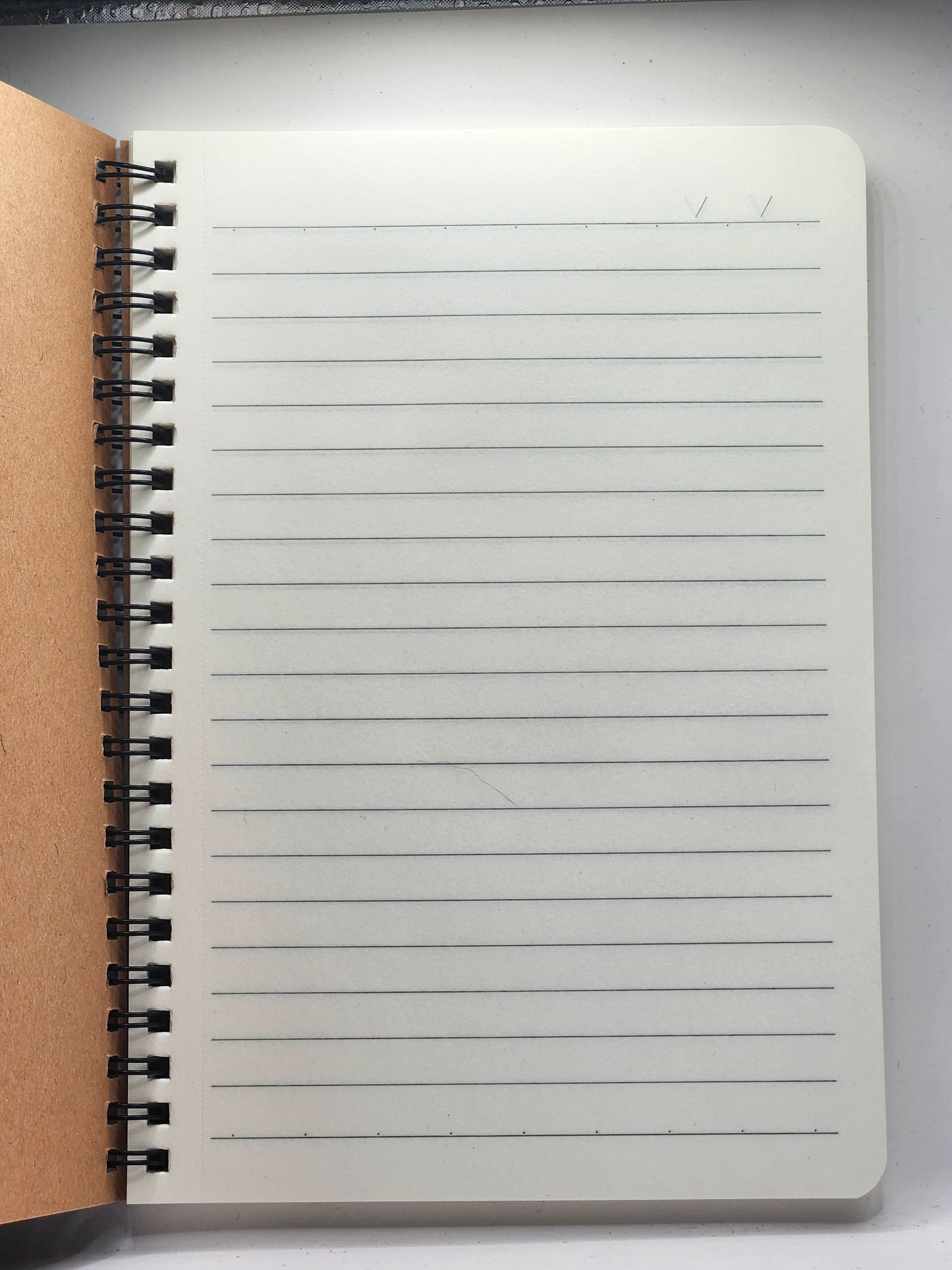 Cat Notebook