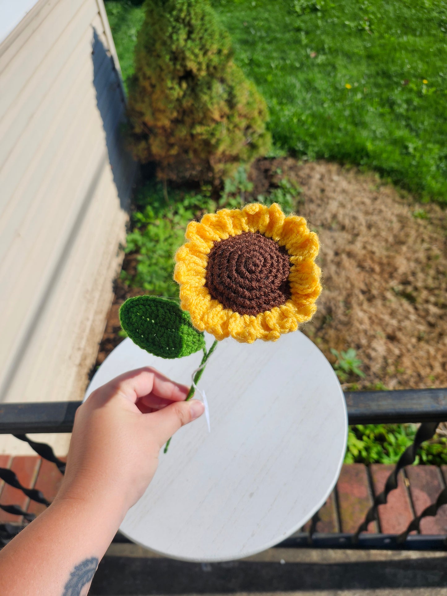 Single Sunflower